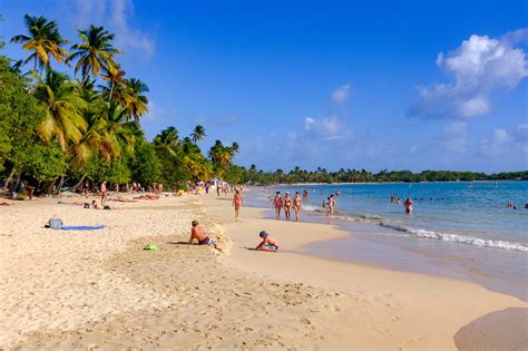 martinique nude beach|topless and/or nude sunbathing